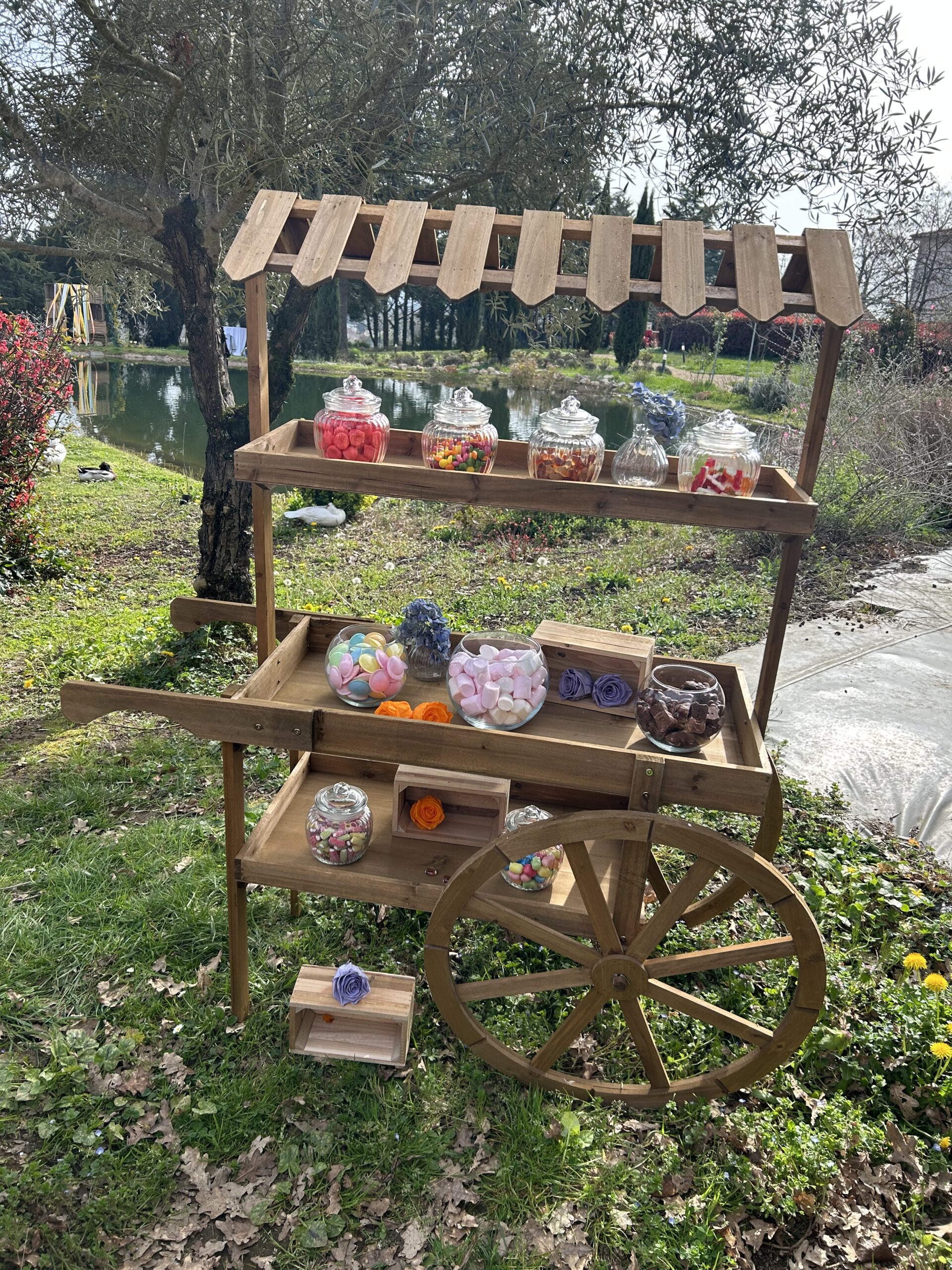Organisatrice mariage Périgueux